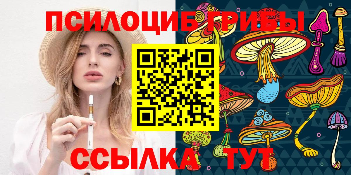 Псилоцибиновые грибы Psilocybine cubensis Альметьевск